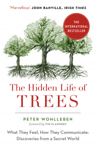 The Hidden Life of Trees: The International Bestseller – What They Feel, How They Communicate