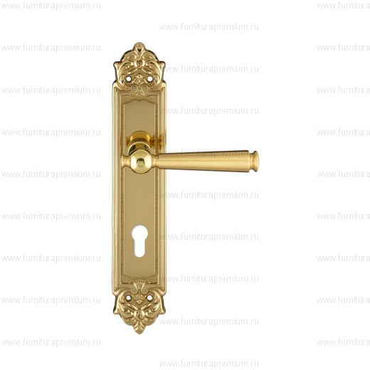 Ручка на планке Extreza Annet 329 CYL PL02