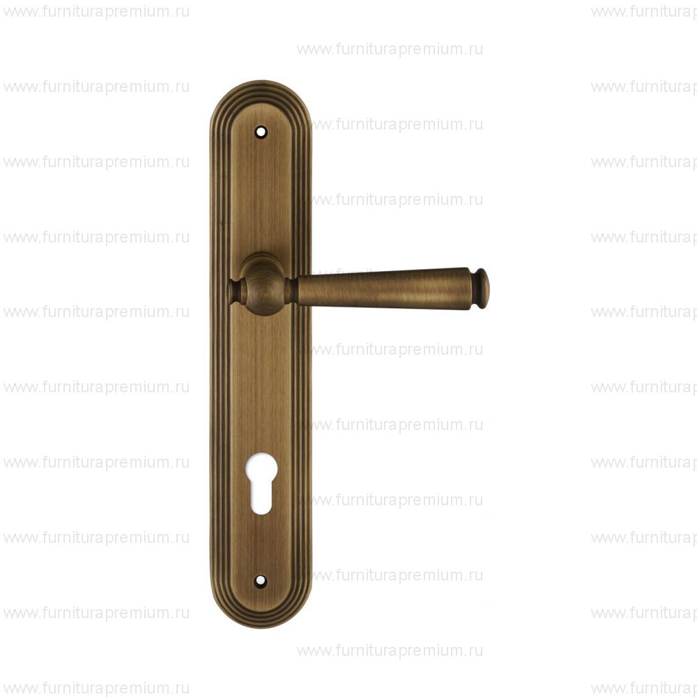 Ручка на планке Extreza Annet 329 CYL PL05