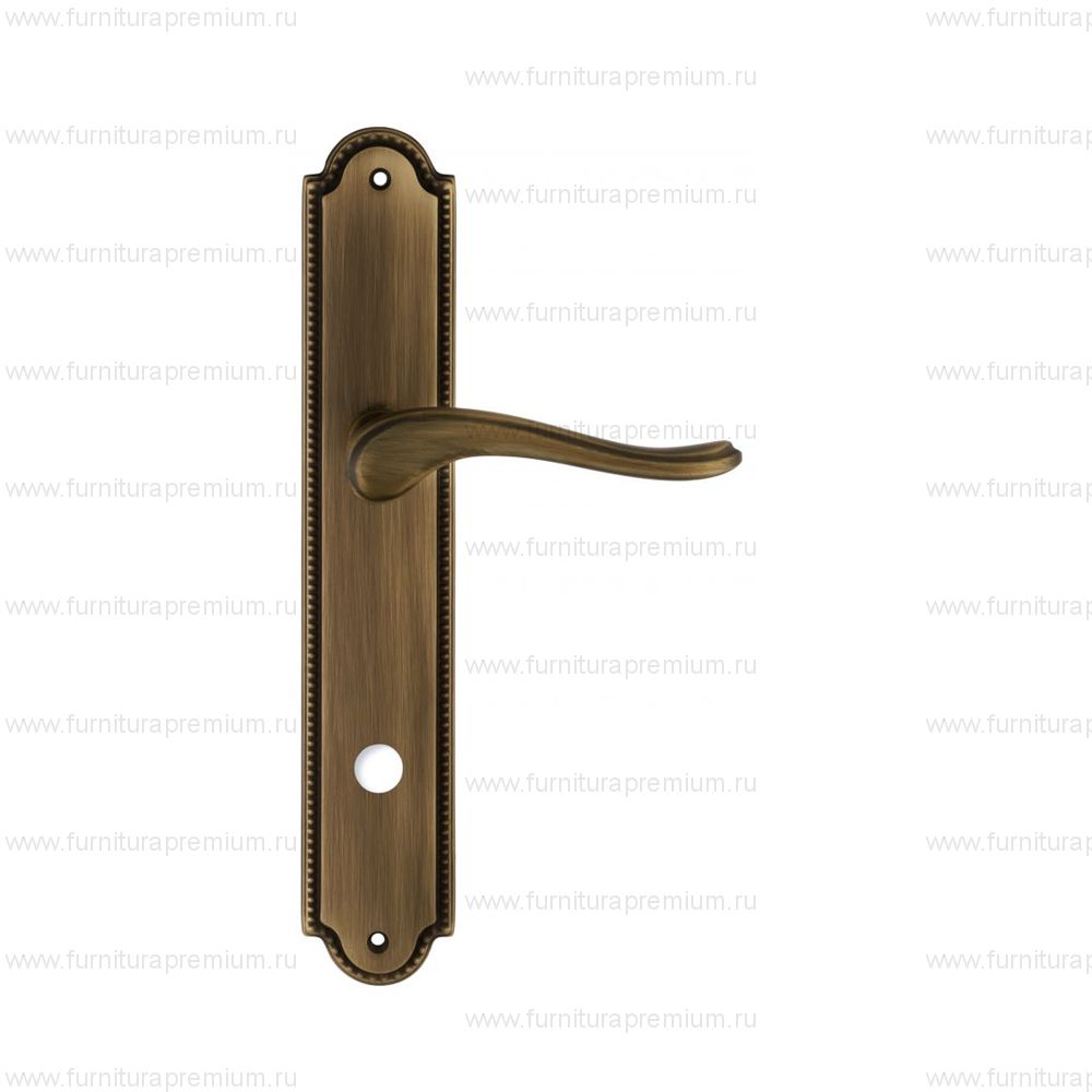 Ручка на планке Extreza Ariana 333 WC PL03