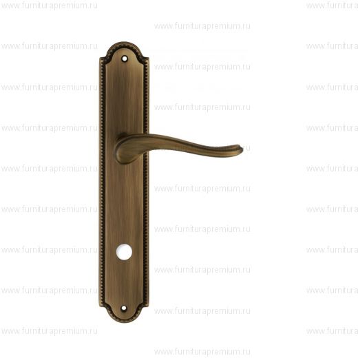 Ручка на планке Extreza Ariana 333 WC PL03