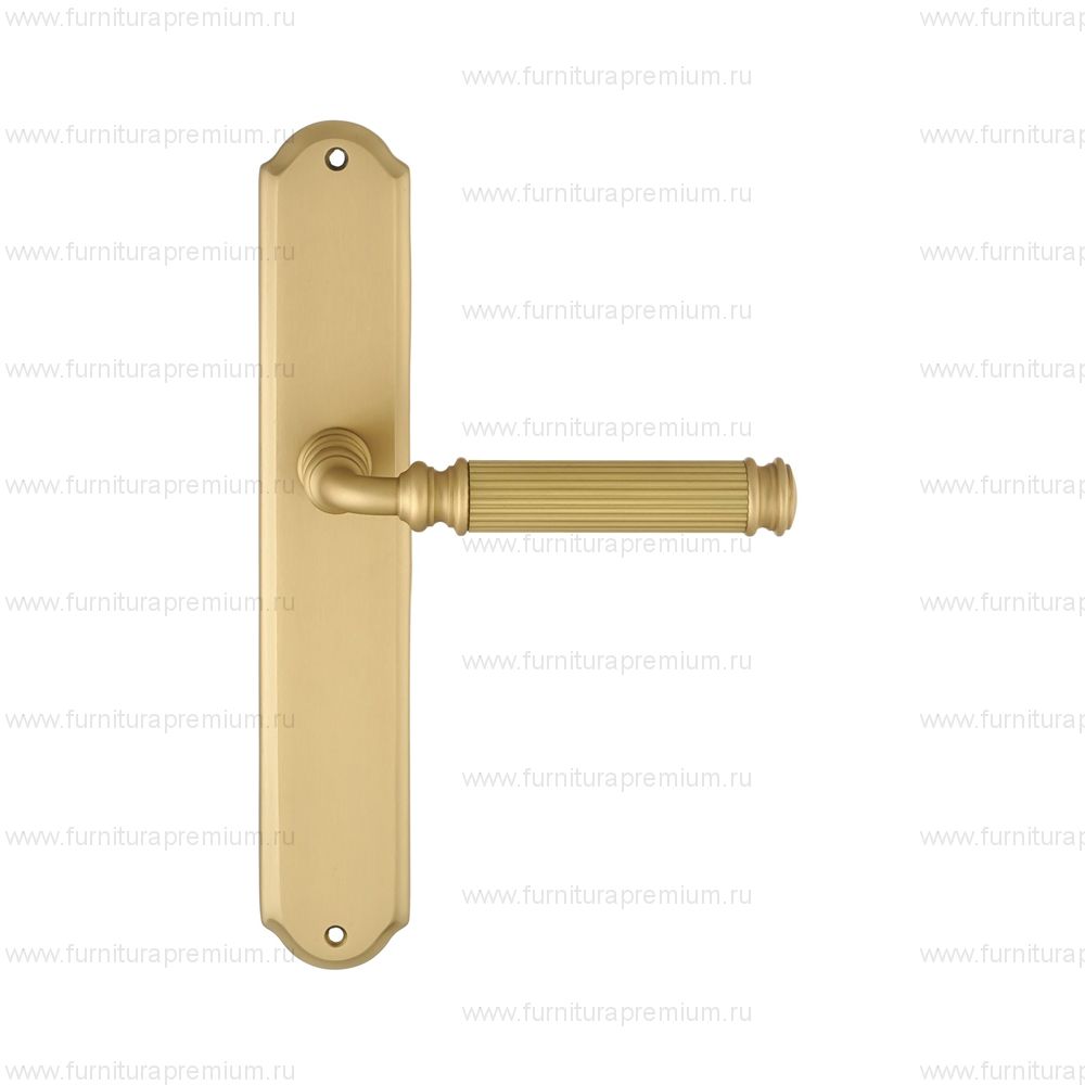 Ручка на планке Extreza Benito 307 PASS PL01