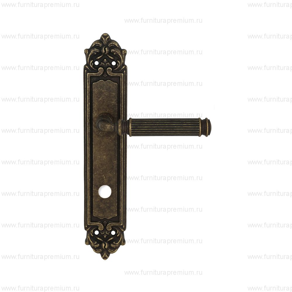 Ручка на планке Extreza Benito 307 WC PL02