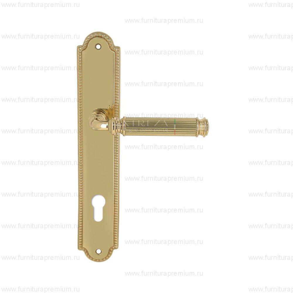 Ручка на планке Extreza Benito 307 CYL PL03