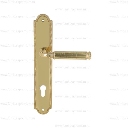 Ручка на планке Extreza Benito 307 CYL PL03