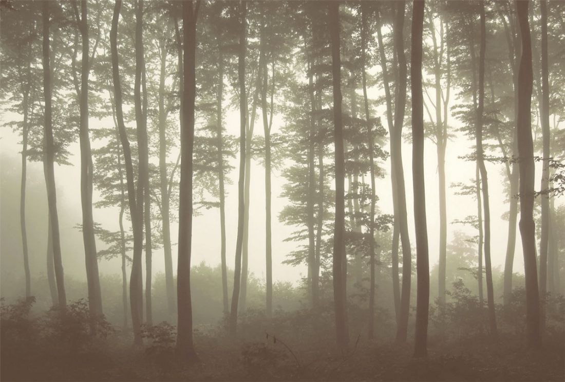 Mystic Fog Sepia