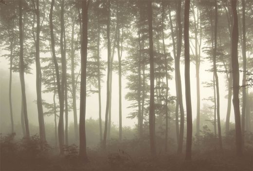 Mystic Fog Sepia