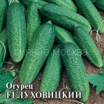 Ogurec-Luhovickij-F1-kornishon-100-sht-Gavrish