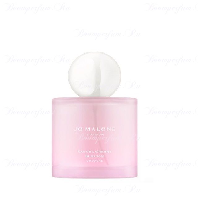 Sakura Cherry Blossom, 100 ml