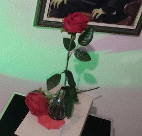 #НЕНОВЫЙ Иллюзион Мистическая Роза