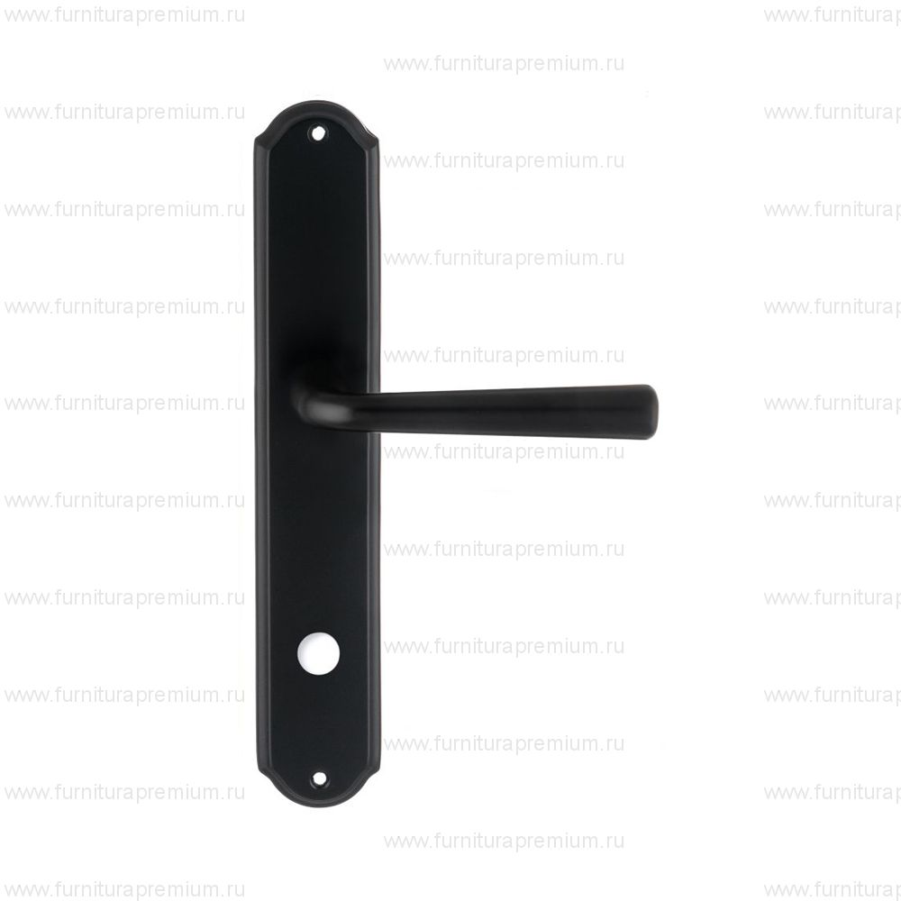 Ручка на планке Extreza Sandro 332 WC PL01