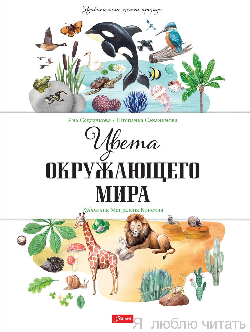 Цвета окружающего мира