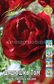 Тюльпан Дядюшка Том махровый 11/12, 1 шт