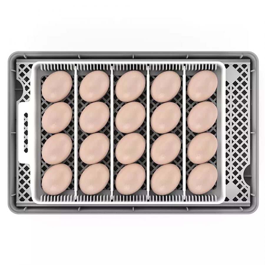 Инкубатор HHD на 20 яиц автоматический переворот с овоскопом