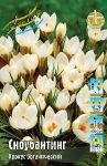 Krokus-botanicheskij-SNOUBANTING-5-1-sht