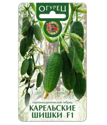 Семена Биотехника Огурец Карельские шишки F1