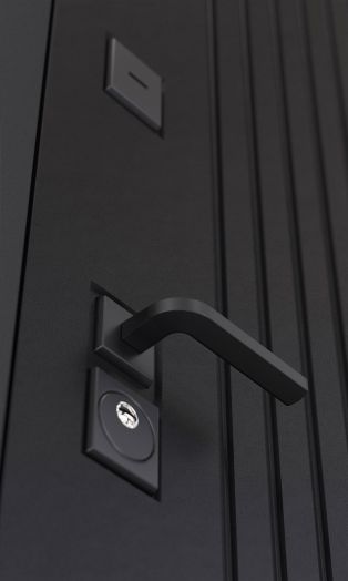 Дверь входная Бункер BN-06 ФЛЗ-618 фацет с тонировкой Черный кварц