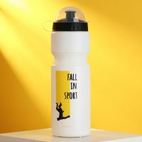 Бутылка для воды Fall in sport, 750 мл