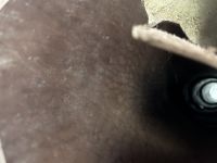 Вороток шорно-седельный светло-коричневый