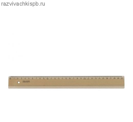 Линейка 30см дымчатая, европодвес.