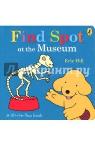 Find Spot at the Museum / Hill Eric