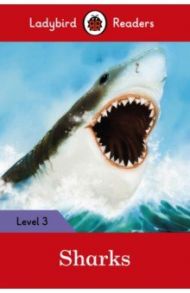 Sharks + downloadable audio