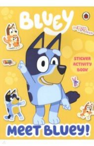 Meet Bluey! Sticker Activity Book