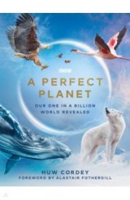 A Perfect Planet / Cordey Huw