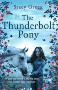 The Thunderbolt Pony / Gregg Stacy