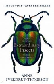 Extraordinary Insects. Weird. Wonderful. Indispensable. The ones who run our world / Sverdrup-Thygeson Anne