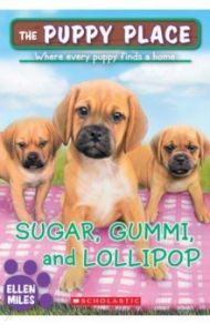 Sugar, Gummi and Lollipop / Miles Ellen