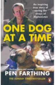 One Dog at a Time. An inspiring true story of saving the strays of Afghanistan / Farthing Pen