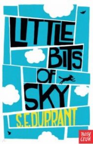 Little Bits of Sky / Durrant S. E.