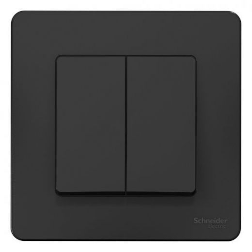 Выключатель Schneider Electric Blanca BLNVS010503 двухклавишный алюминий