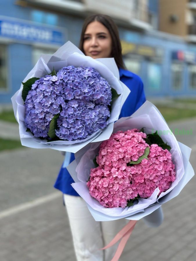 Букет 3 гортензий