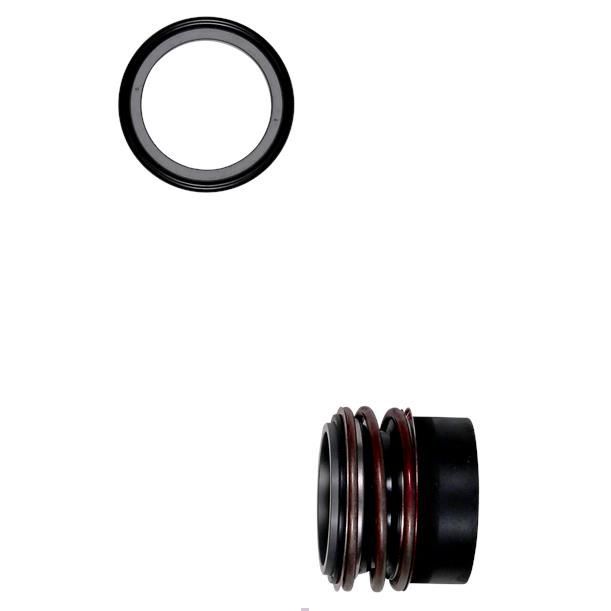Shaft seal BQQE GG D55/spare, артикул: 98434943 рем.комплект Grundfos