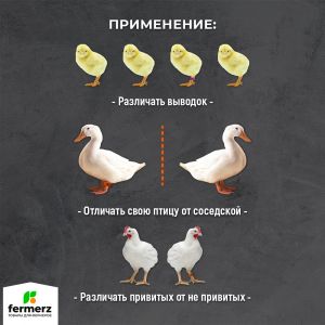 Меточные кольца НУМЕРОВАННЫЕ для птицы (жесткие)