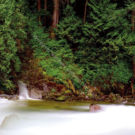 Стеновая панель SP 244 2800 мм