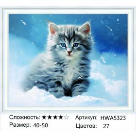 Алмазная мозаика на подрамнике HWA5323