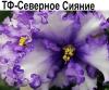 ТФ-Северное Сияние (Фурлетова)