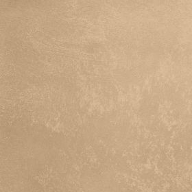 Декоративная Штукатурка Decorazza Aretino 5л AR 10-09 с Эффектом Перламутровых Переливов / Декоразза Аретино.