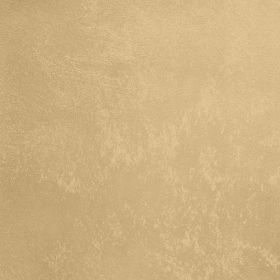 Декоративная Штукатурка Decorazza Aretino 1л AR 10-04 с Эффектом Перламутровых Переливов / Декоразза Аретино.