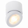 Светильник Потолочный ST-Luce ST654.542.10 Белый LED 1*10W 4000K 850Lm Ra>90 38° IP20 D95xH96 180-240V / СТ Люче