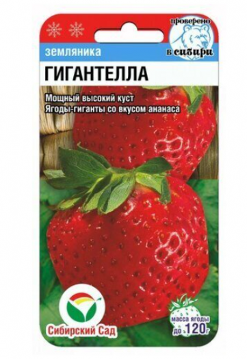 Семена Земляника Гигантелла 10шт (Сиб сад)