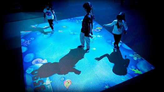 Интерактивный пол Master Game  (Комплект с компьютером, но без проектора).