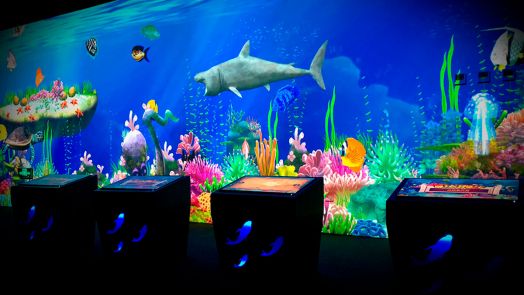 Ожившие рисунки комплект №1 (Компьютер+Проектор+Сканер +Софт+ комплект Master Touch)