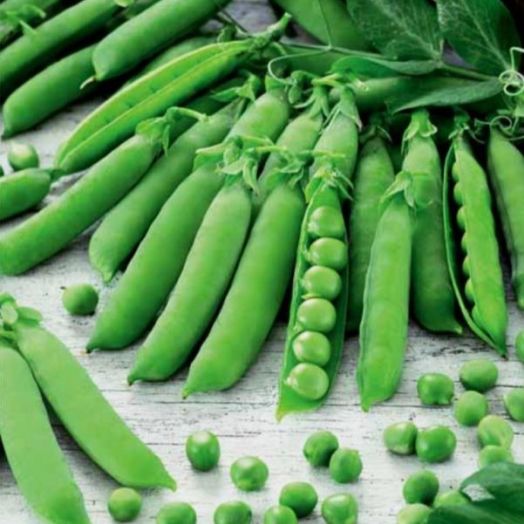 Горох Маяк, 25г семян