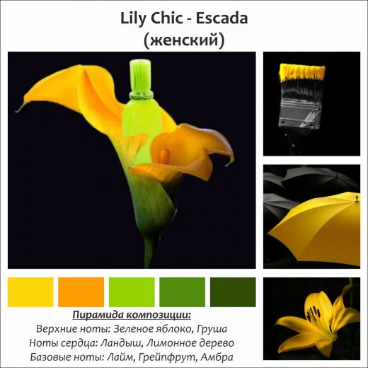 ~Lily Chic  (w) ~