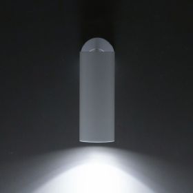 Светильник Накладной Поворотный Citilux Тубус CL01B120N LED Белый / Ситилюкс.