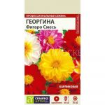 Георгина махровая Фигаро Смесь, 5 шт (Семена Алтая)
